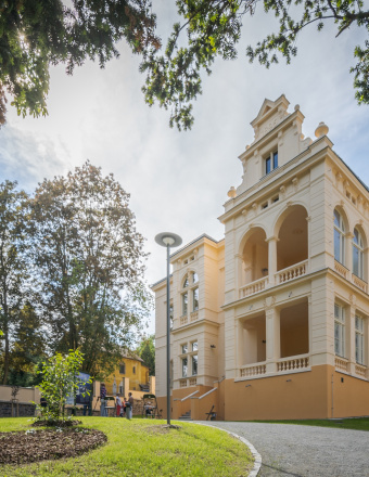 Obrázek Vila